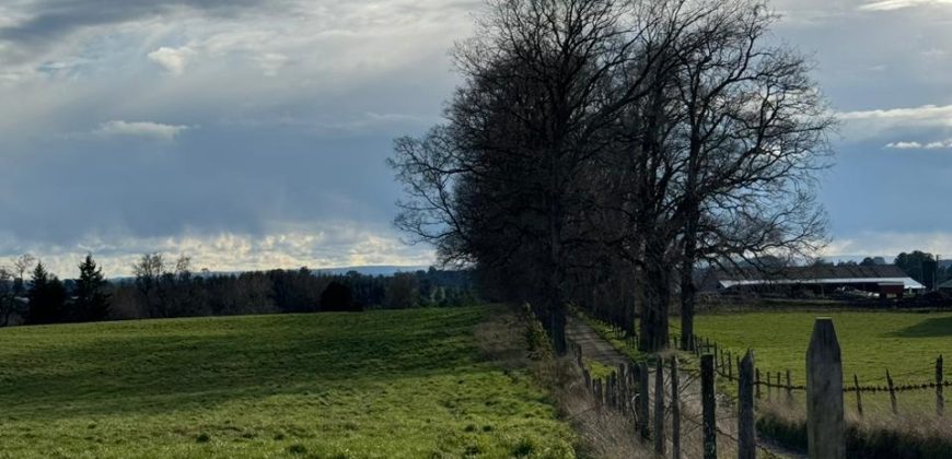 HERMOSA PARCELA/ CAMINO A NUEVA BRAUNAU