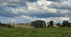 HERMOSA PARCELA/ CAMINO A NUEVA BRAUNAU