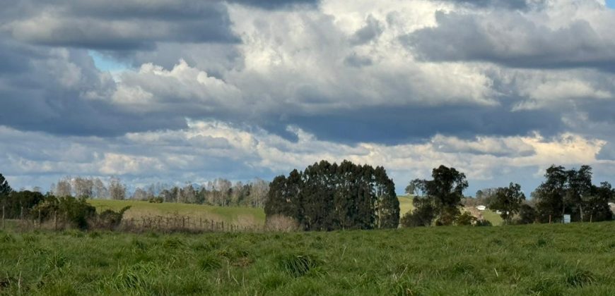 HERMOSA PARCELA/ CAMINO A NUEVA BRAUNAU
