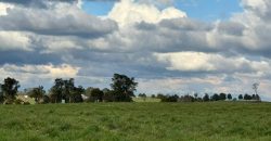 HERMOSA PARCELA/ CAMINO A NUEVA BRAUNAU