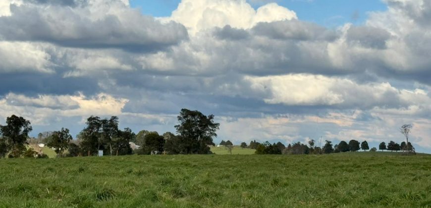 HERMOSA PARCELA/ CAMINO A NUEVA BRAUNAU