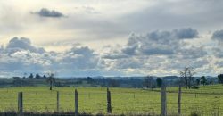 HERMOSA PARCELA/ CAMINO A NUEVA BRAUNAU