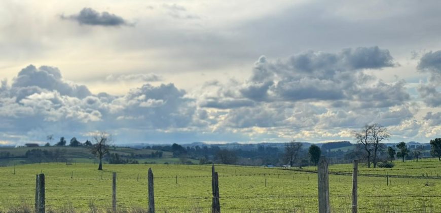 HERMOSA PARCELA/ CAMINO A NUEVA BRAUNAU