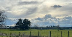 HERMOSA PARCELA/ CAMINO A NUEVA BRAUNAU