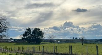 HERMOSA PARCELA/ CAMINO A NUEVA BRAUNAU
