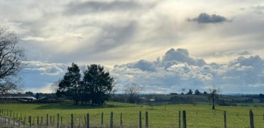 HERMOSA PARCELA/ CAMINO A NUEVA BRAUNAU