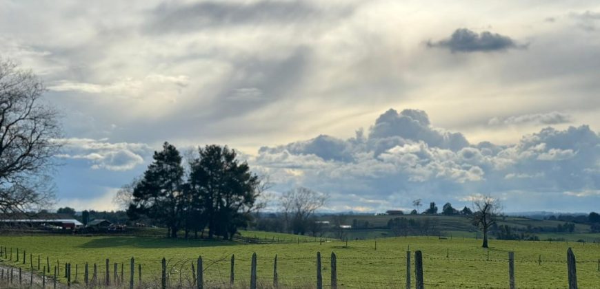 HERMOSA PARCELA/ CAMINO A NUEVA BRAUNAU