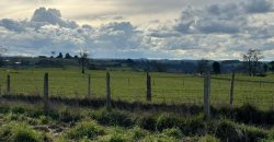 HERMOSA PARCELA/ CAMINO A NUEVA BRAUNAU