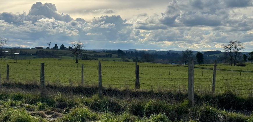 HERMOSA PARCELA/ CAMINO A NUEVA BRAUNAU