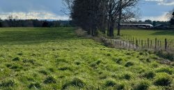 HERMOSA PARCELA/ CAMINO A NUEVA BRAUNAU