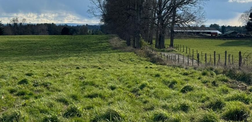 HERMOSA PARCELA/ CAMINO A NUEVA BRAUNAU